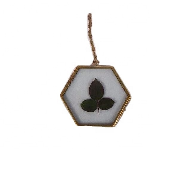 Hexagon Brass Floating Picture Frames. Handmade Brass Frames With Clear Glass Double Sided Wall Decor