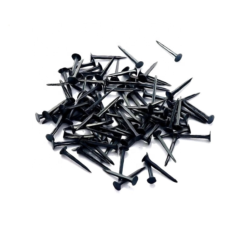 Black Color Shoes Nail Tack from Guangzhou Supplier