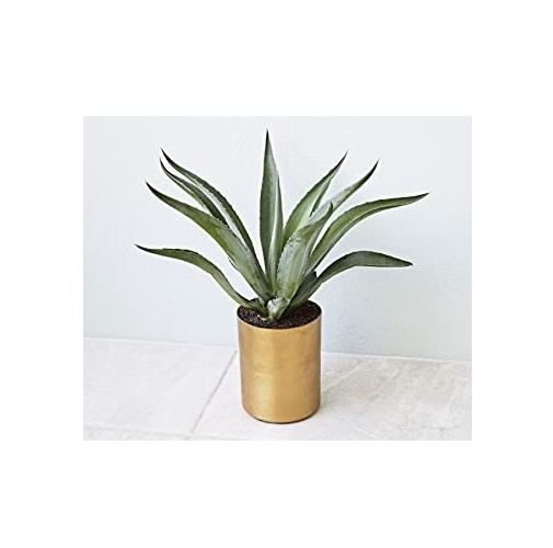 simple design copper large size planter pot huge flower pot for home garden decorative for free low price sample