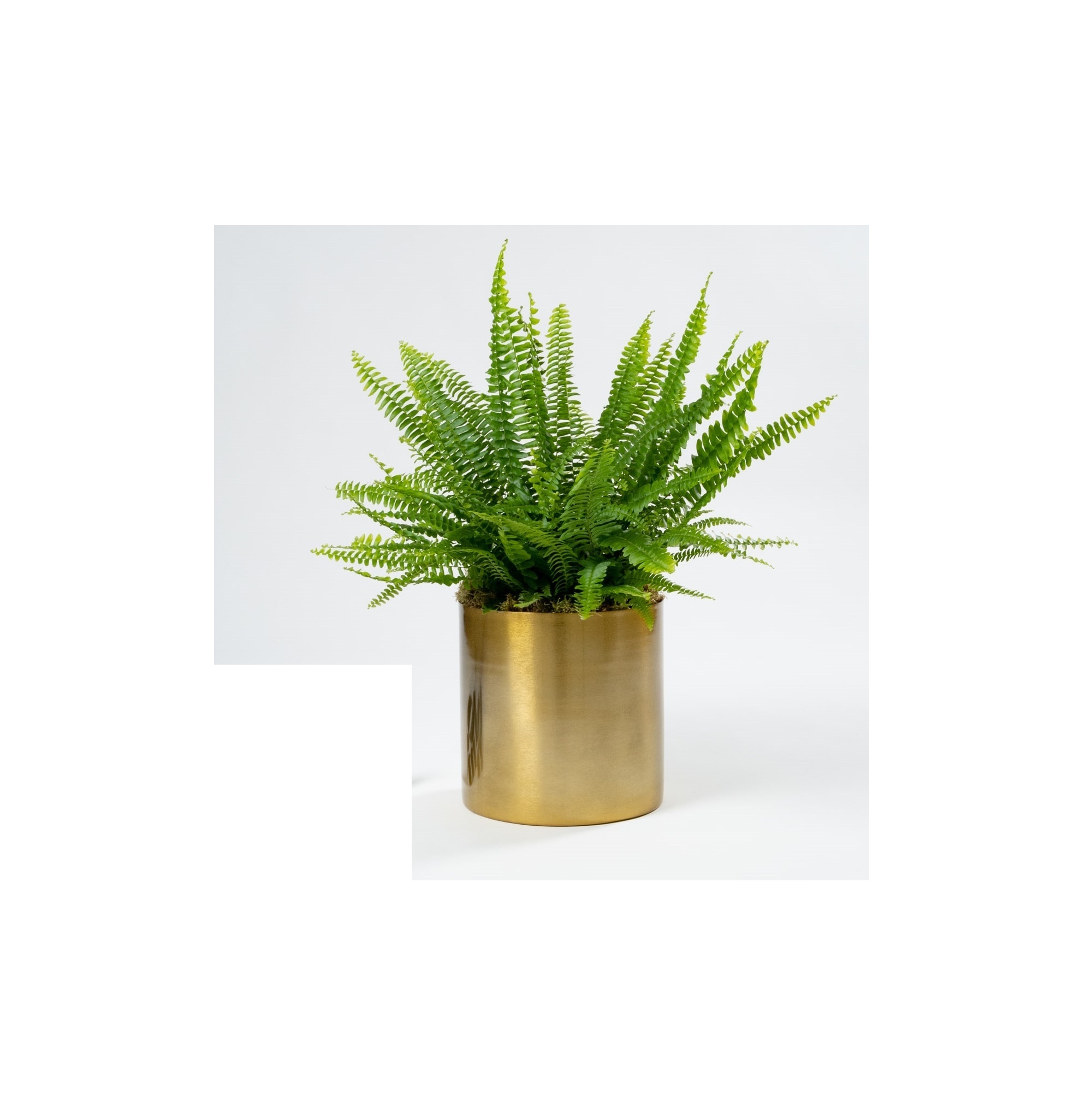 simple design copper large size planter pot huge flower pot for home garden decorative for free low price sample