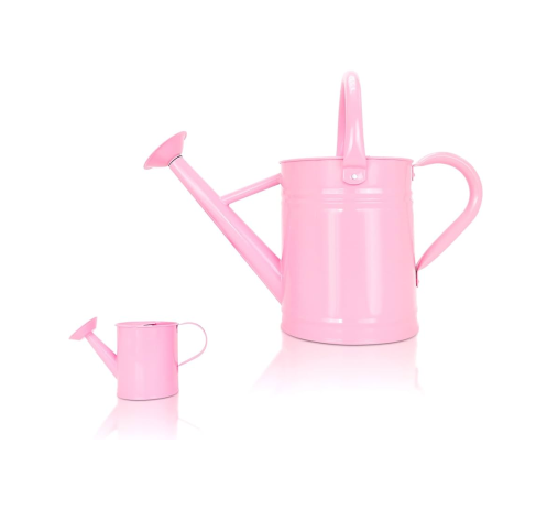 High Quality metal watering can long neck small metal watering can in bulk for Indoor garden tool 2 piece design