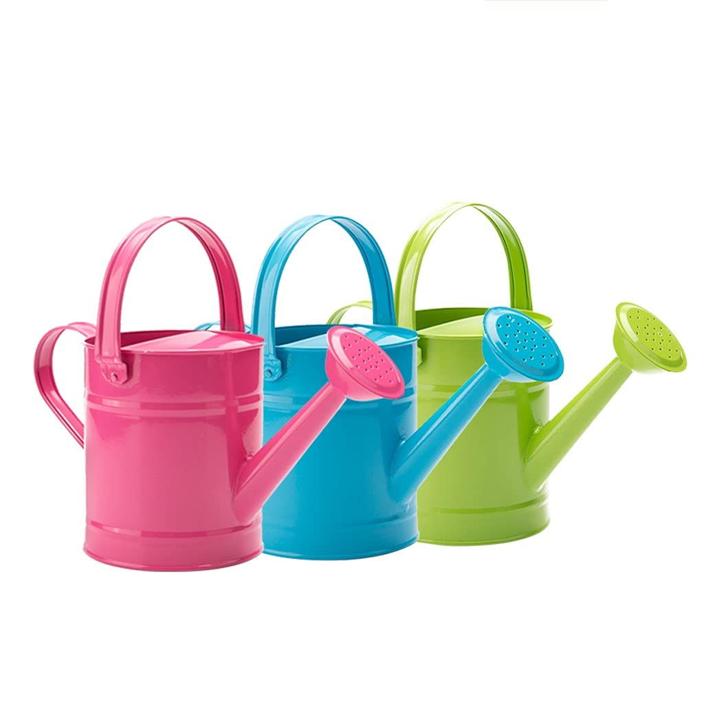 High Quality metal watering can long neck small metal watering can in bulk for Indoor garden tool 2 piece design