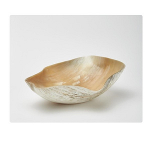 Natural Horn Bowl for Serving at best rate for cow horn color and customized packing and price with table decorative bowl