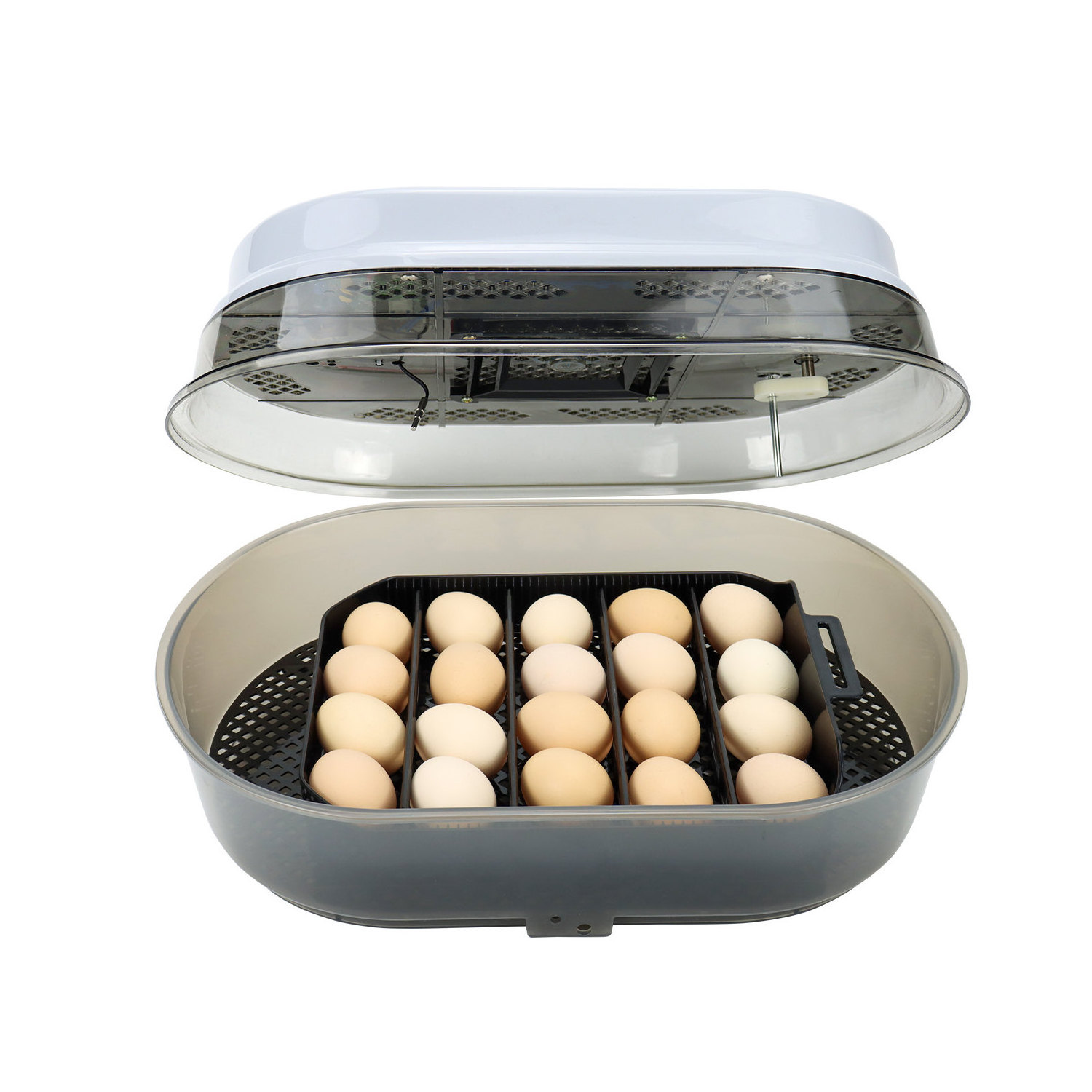 Janoel 18 eggs automatic incubator turtle bird chicken duck brooder farm lab brooder