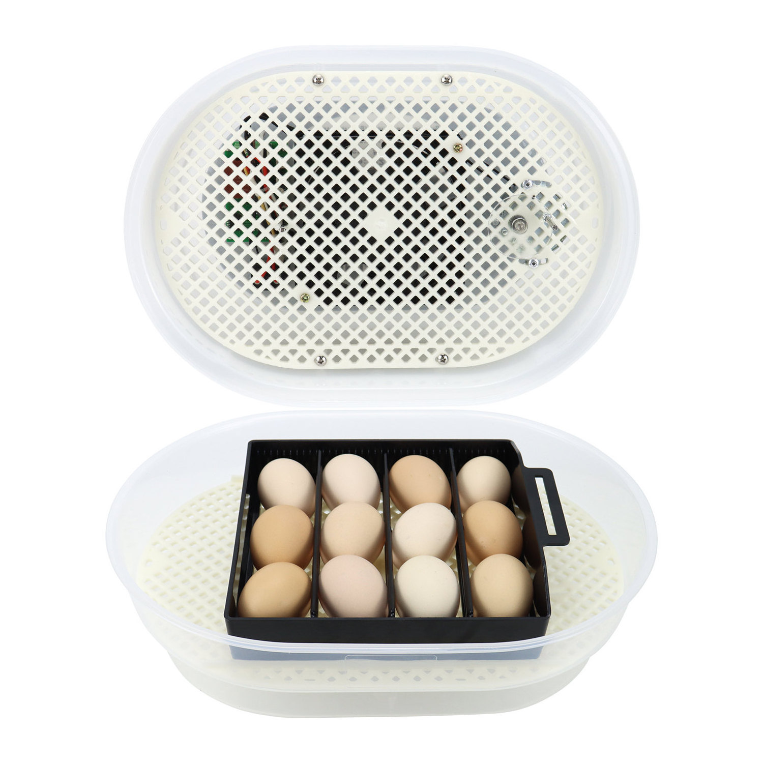 Janoel 12 Incubator Chicken Duck Goose Quail Poultry Egg Incubator Chicken Egg Incubator For Sale