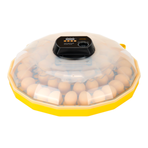 Janoel automatic 48 egg incubator hatching machine yellow incubator