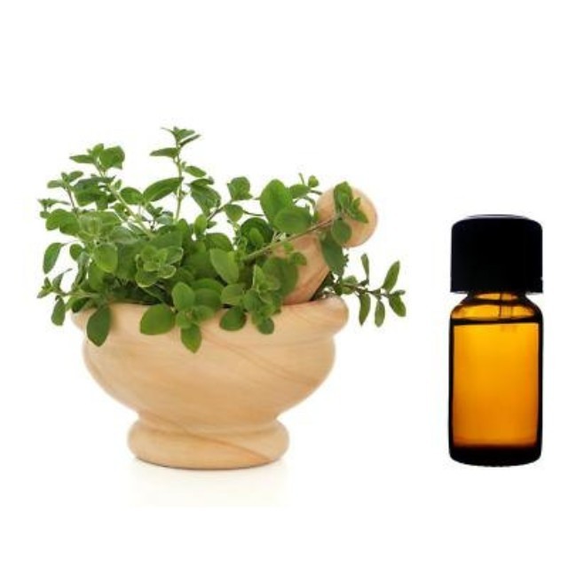 ISO Certified 100% Pure and Organic Oregano Essential Oil wholesale supplier