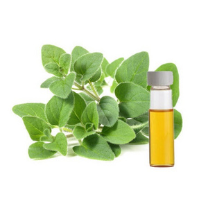 ISO Certified 100% Pure and Organic Oregano Essential Oil wholesale supplier