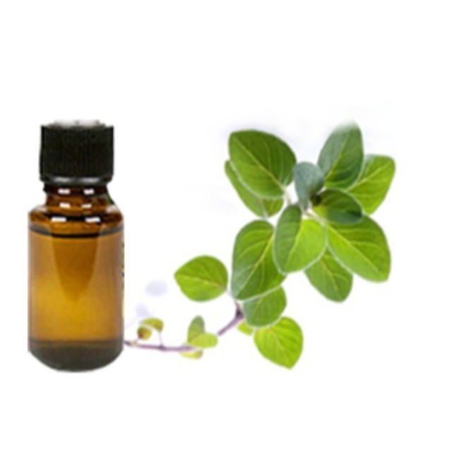 ISO Certified 100% Pure and Organic Oregano Essential Oil wholesale supplier