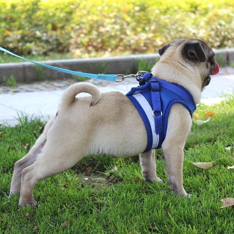 China manufacturer adjustable accessories no pull dog pet harness