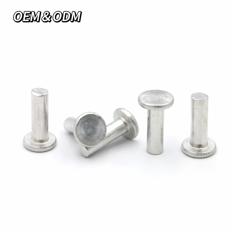 DIN 7338 Customized Non-Standard Stainless Steel SS304 SS316 Solid Riveting Round Head Solid Rivet