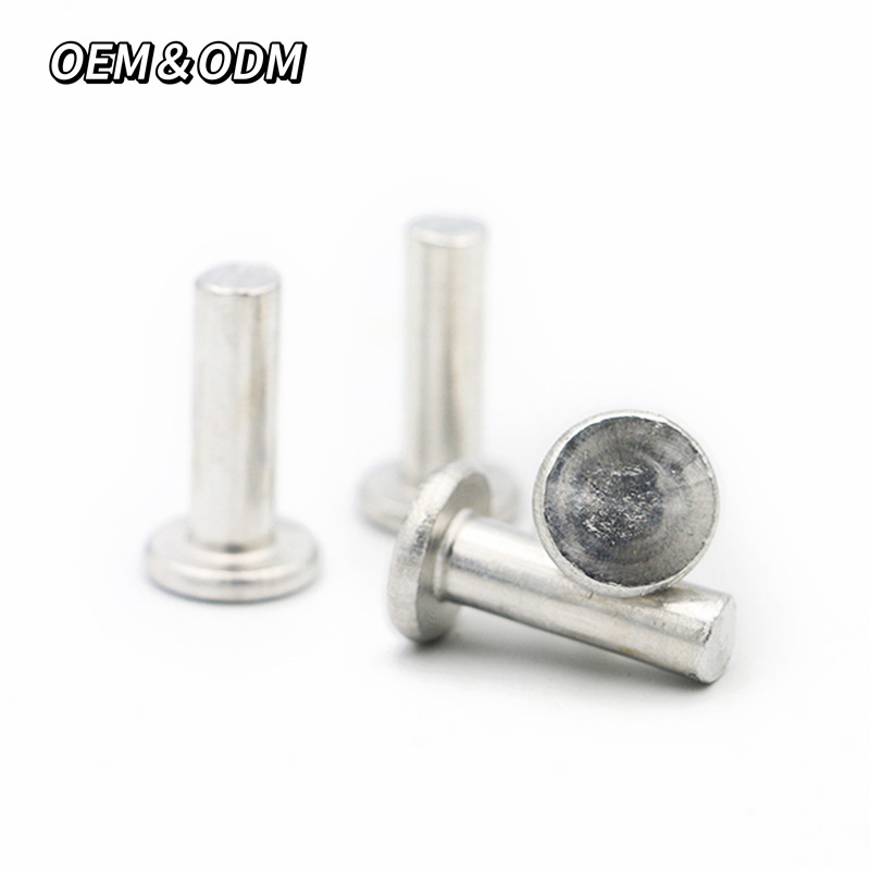 DIN 7338 Customized Non-Standard Stainless Steel SS304 SS316 Solid Riveting Round Head Solid Rivet