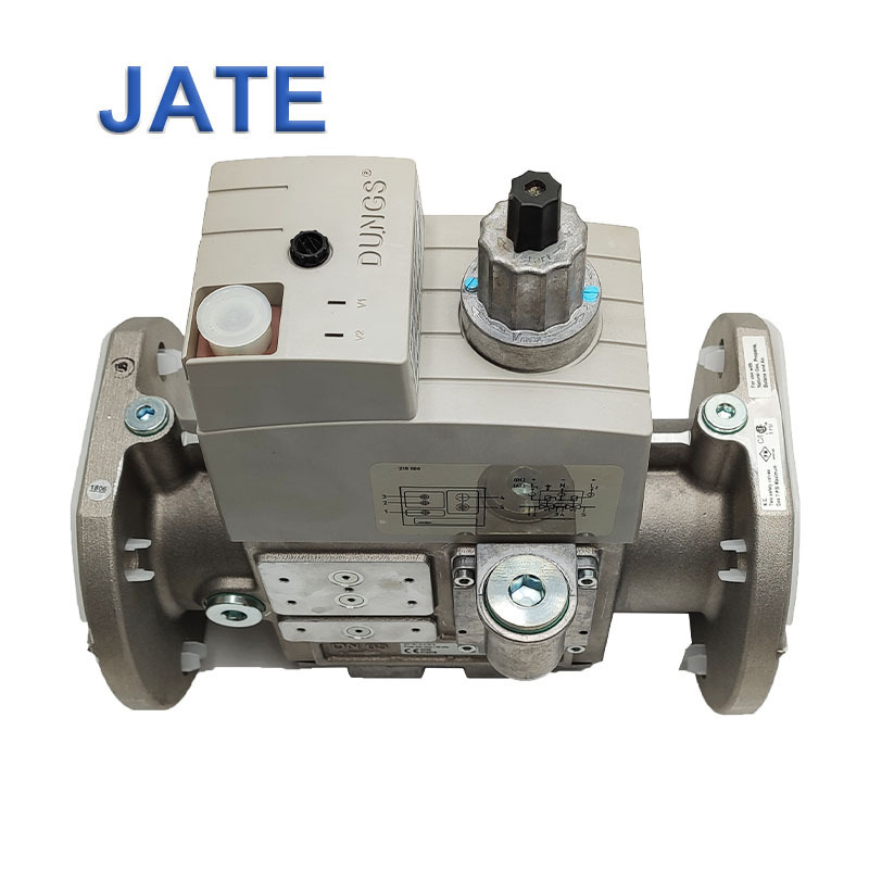 Dungs Control Solenoid Valve DMV-DLE 5065/11 ECO Double Solenoid Control Valves Gas Burner OEM Normal Temperature General 50kpa