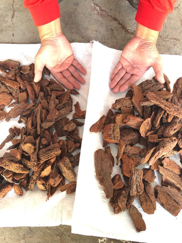 High Quality Forest Bark Bedding For Reptile Pine Bark Mulch Wood Chip Home and Garden Decoration from central java