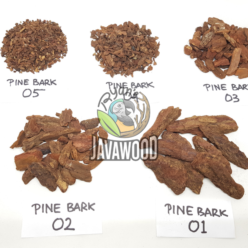 Best Factory Directly Wholesale Pine Bark Natural Pine Bark Wood Chip Mulch Pine Bark from central java indonesia