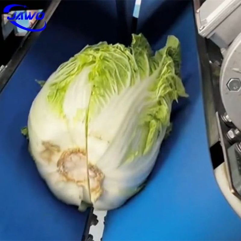 Electric Cabbage Cutter Machine Cabbage Cutting Machine Shredder Cabbage Cutter Slicer