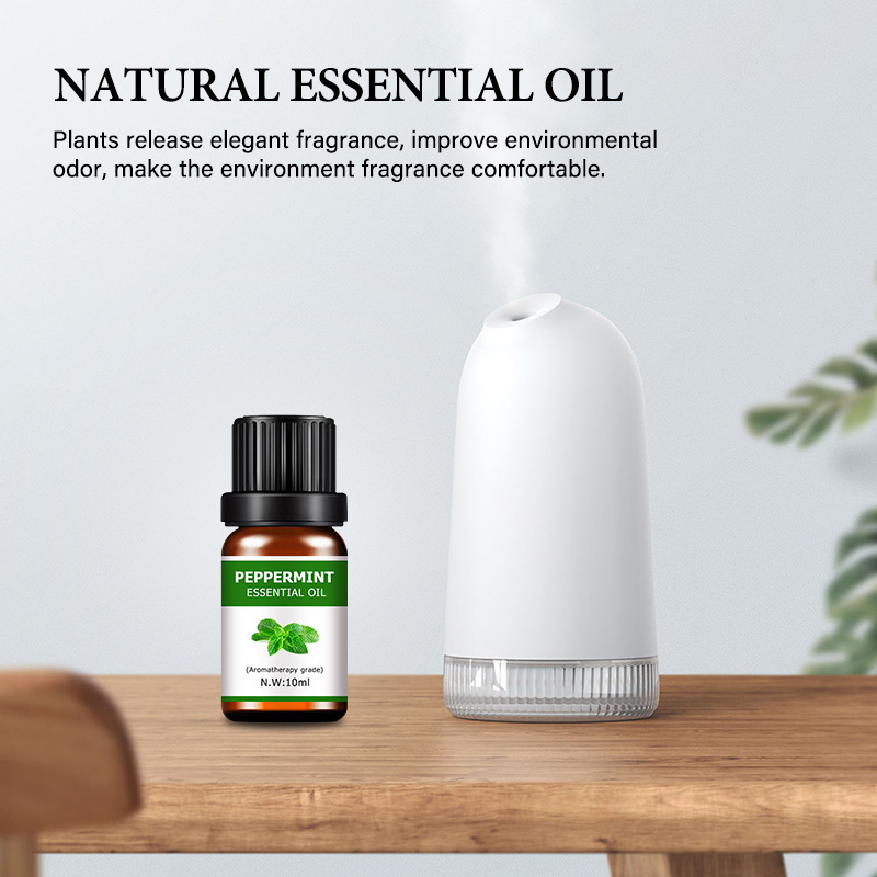 Aromatherapy Top Grade diffuser essential oil Set 3/6 pack 10ml Bottles Lavender Peppermint Eucalyptus Clove Cedar Orange Oil