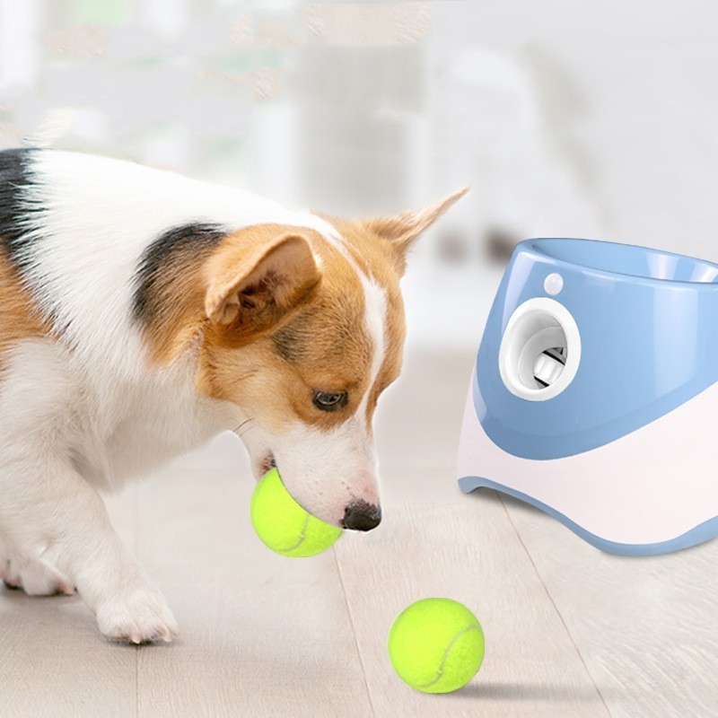 Hot selling outdoor pet electric interactive throwing training dog take toys mini tennis ball automatic dog ball launcher