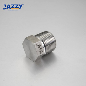 JAZZY Factory price stainless steel ASTM A182 F316L, ASTM A182F304 NPT / BSP Swagelok Typ Pipe Plug