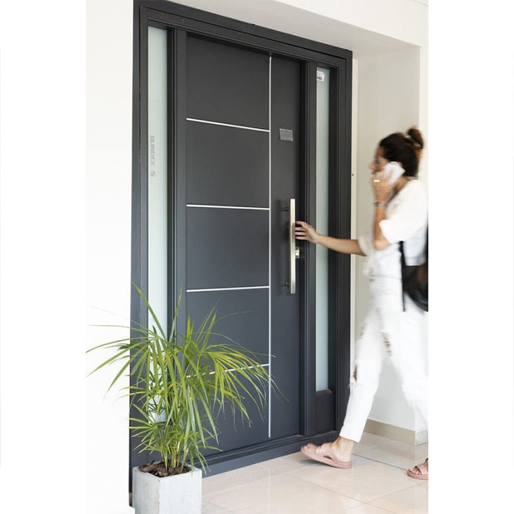 Outdoor Stainless Steel Security Front Door for Home Top Manufacturer Black Aluminum Pivot Front Entrance Door