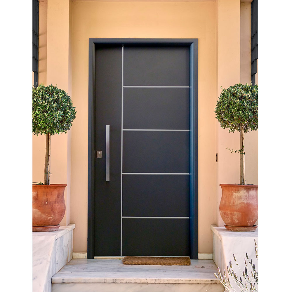 Outdoor Stainless Steel Security Front Door for Home Top Manufacturer Black Aluminum Pivot Front Entrance Door