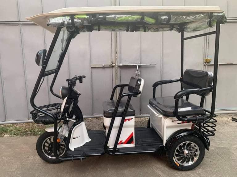 3 Wheel Electric Scooter Trike Moto 3 Wheels Three Wheel e Bike Enclosed Electric Tricycle With Roof