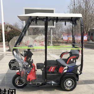 Three Wheels Cargo Electric Tricycle Motorcycle Mobility Scooter  ebike 3 wheels electric bike with cover