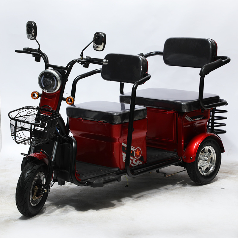 3 Wheel Electric Scooter Trike Moto 3 Wheels Three Wheel e Bike Enclosed Electric Tricycle With Roof