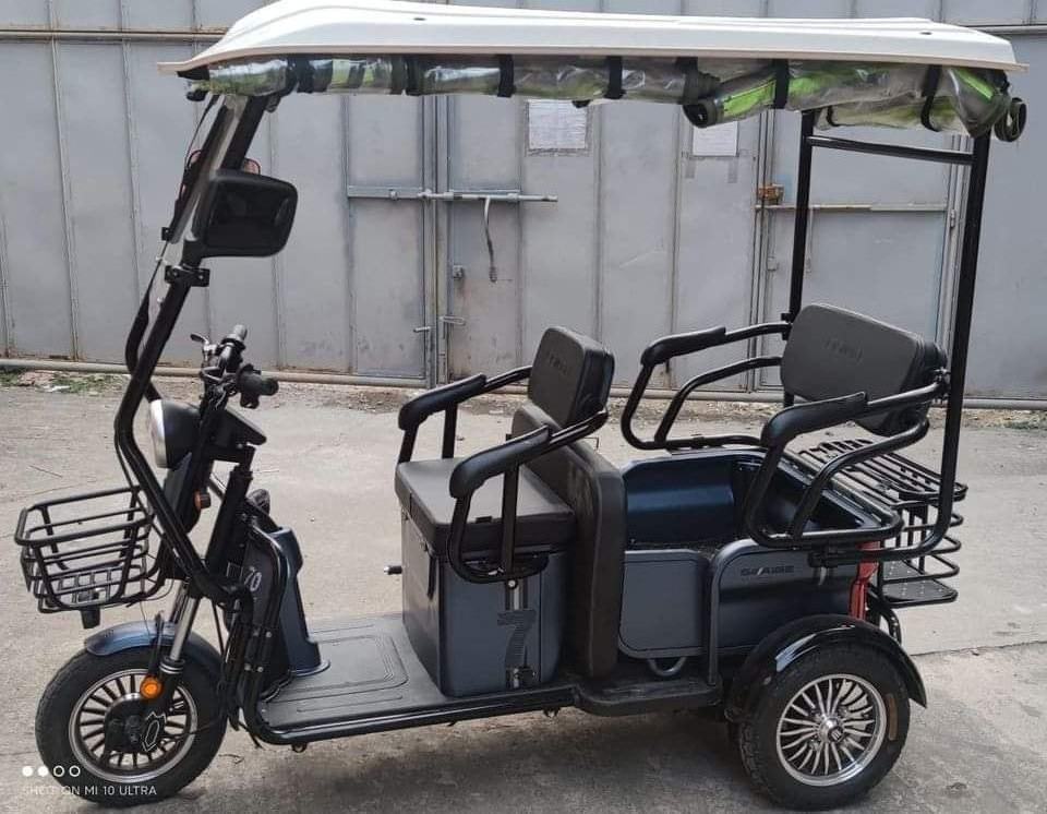 3 Wheel Electric Scooter Trike Moto 3 Wheels Three Wheel e Bike Enclosed Electric Tricycle With Roof