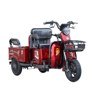 triciclo electrico de carga  electric delivery car tricycle 1000w  three wheeler electrical cargo tricycle with rear seat