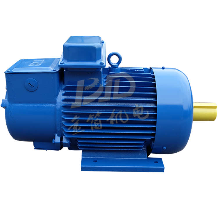 1.5~200KW Three Phrase Electric Motors Product 21kw Hoisting Crane Motor Product brand name electric motor