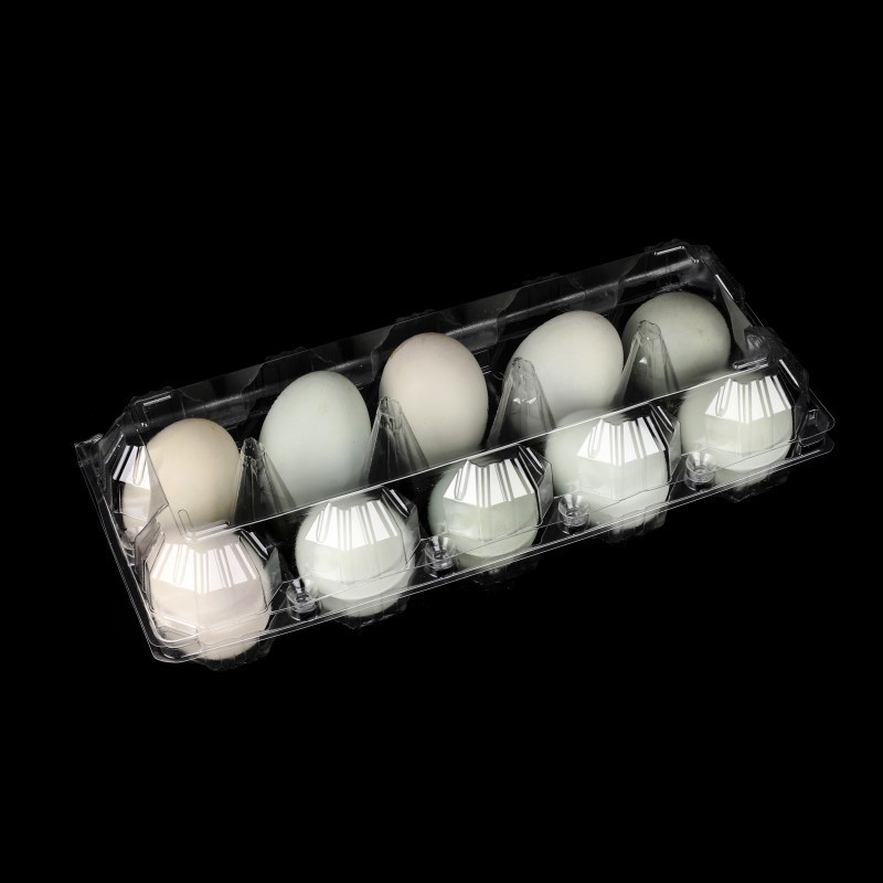 Disposable 10 Holes Egg Carton Packing Tray Suppliers Transparent Pet Plastic Blister Trays For Eggs 10 Cells Duck Egg Holder