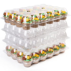 24 Count Disposable stackable Cup Cake Containers  Travel Carrier Tall Dome Clear  PET Plastic Hinged Lid Cupcake Boxes