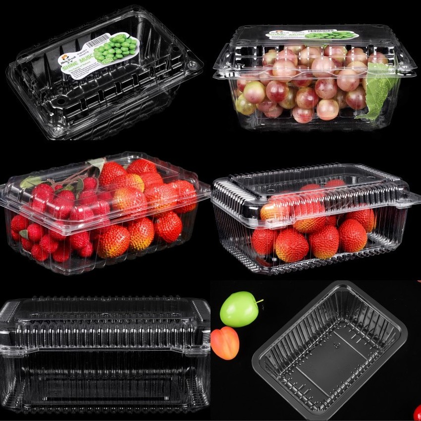 500g Food Grade Custom PET Plastic Clear Fruit Clamshell Box Strawberry Packaging Punnet for Supermarket