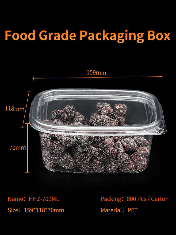 Wholesale Transparent PET Food Container Rectangle Disposable Takeaway Plastic Fruit Salad Packaging Box for Sweets Pastry