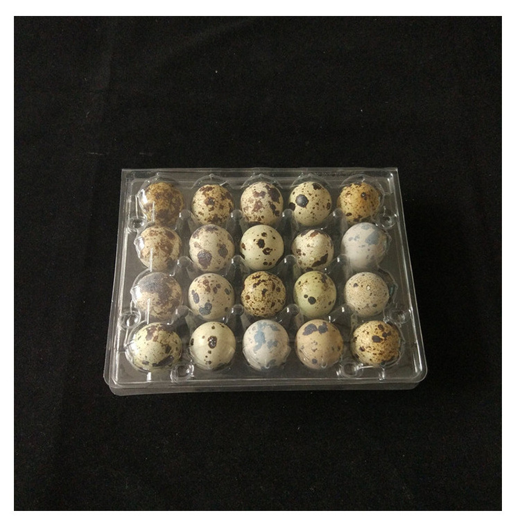 High Quality 15 20 Holes Quail Eggs Carton Packing Box Clear Plastic Egg Tray Packaging for Quail Chicken