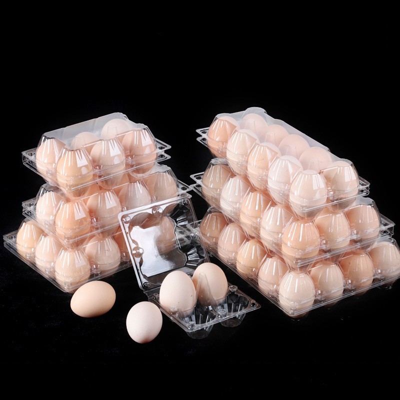 4 6 8 9 10 12 15 16 20 30 Holes Transparent Disposable Bliser Egg Carton Clear Plastic Egg Tray for Farmer