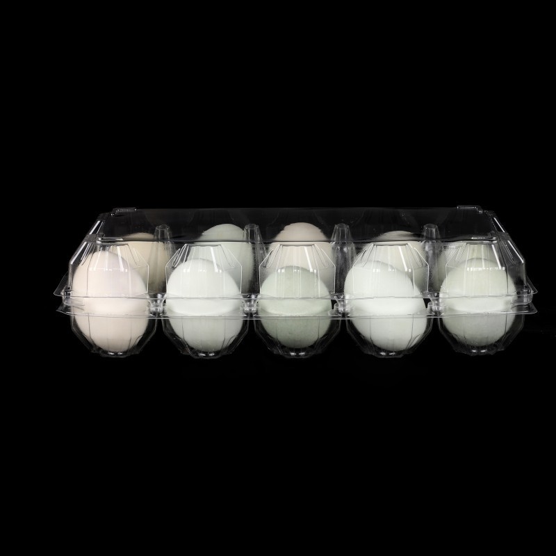 Disposable 10 Holes Egg Carton Packing Tray Suppliers Transparent Pet Plastic Blister Trays For Eggs 10 Cells Duck Egg Holder