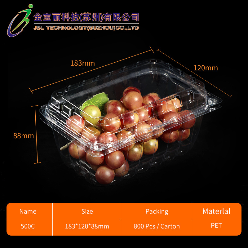 500g Food Grade Custom PET Plastic Clear Fruit Clamshell Box Strawberry Packaging Punnet for Supermarket