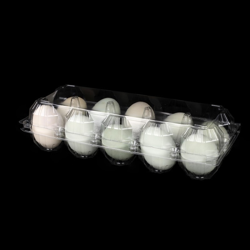 Disposable 10 Holes Egg Carton Packing Tray Suppliers Transparent Pet Plastic Blister Trays For Eggs 10 Cells Duck Egg Holder