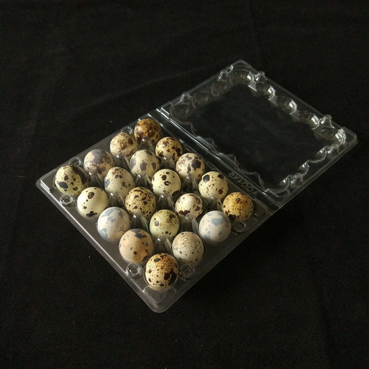 High Quality 15 20 Holes Quail Eggs Carton Packing Box Clear Plastic Egg Tray Packaging for Quail Chicken