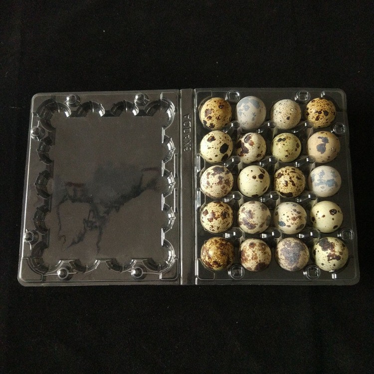 High Quality 15 20 Holes Quail Eggs Carton Packing Box Clear Plastic Egg Tray Packaging for Quail Chicken