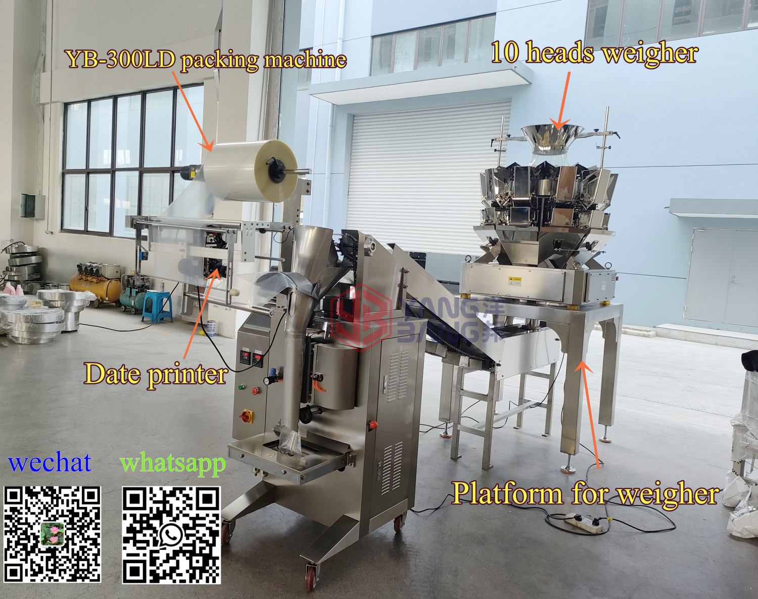 YB-300LD Frozen Food Potato French Fries Packing Machine Potato Chips Packing Machine