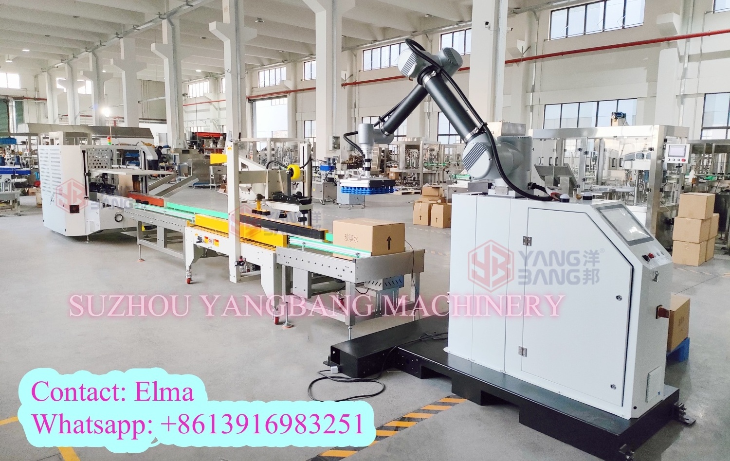 End Of Line Packaging Carton Case Bottle Jar Robot Palletizer Cobot Palletizer Stacking Machine