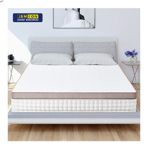 Mattress Topper Hot Selling Wholesale Soft Hotel Feather and Down Home Furniture Bedroom Customized Logo Knitted Fabric White