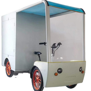 Food cart delivery 48v 1000 watt electric bicycle kit with battery electric 4 wheeler cargo bike