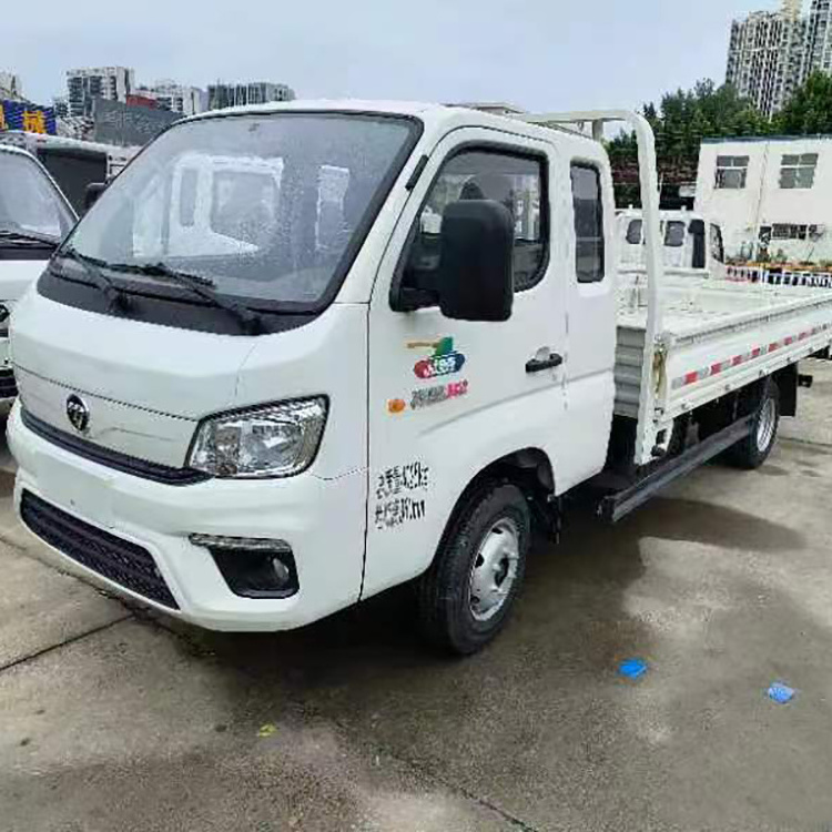 Best Selling Foton Mini Dump Truck 4x4 Sinotruk Cargo Truck Mini Trucks 4x4 Gas For Sale