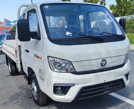 Best Selling Foton Mini Trucks Electric Dongfeng Cargo Truck Mini Dump Truck 4x4 For Sale