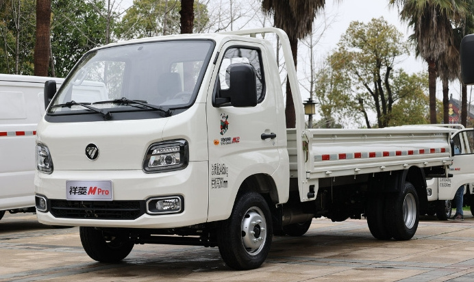 Best Selling Foton Mini Dump Truck 4x4 Isuzu 5 Ton Truck Cargo Elf Electric Mini Trucks for Sale