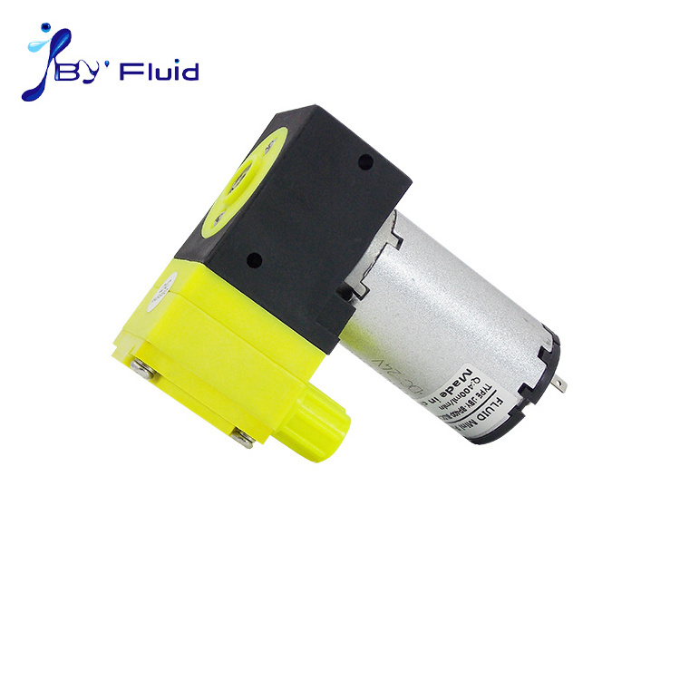 High quality Multipurpose water gas oil 12v 24v mini diaphragm Vacuum Pump Brush pump